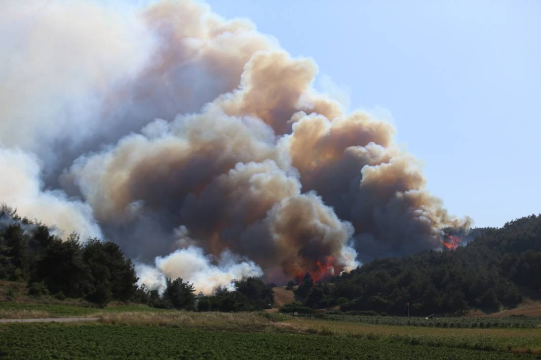 Çanakkale'deki Tarihi Alan'ın güney hattı ziyarete açıldı! Orman yangınında kapatılmıştı - Resim: 64